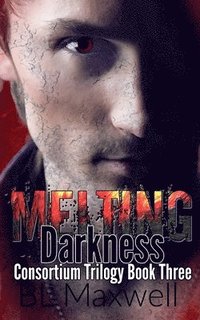 bokomslag Melting Darkness