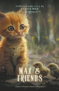 bokomslag Max & Friends