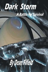 bokomslag Dark Storm - A Battle for Survival