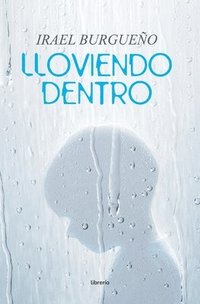 bokomslag Lloviendo Dentro