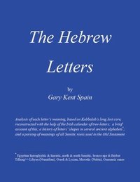 bokomslag Hebrew Letters