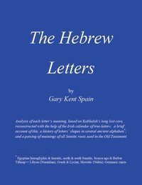 bokomslag The Hebrew Letters