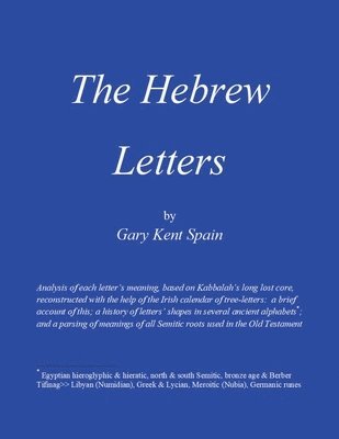 bokomslag Hebrew Letters