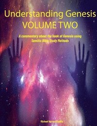 bokomslag Understanding Genesis Volume Two