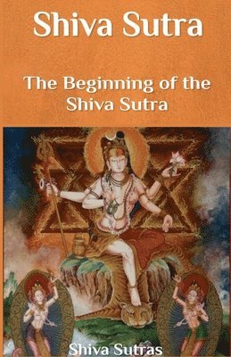 bokomslag Shiva Sutra