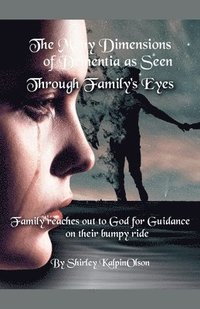 bokomslag The Many Dimensions of Dementia as Seen Through Family's Eyes. Subtitle