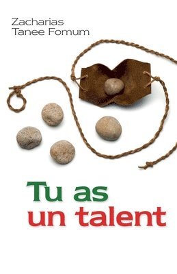 Tu as un talent 1