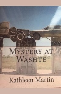 bokomslag Mystery at Washte