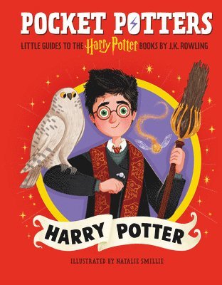 bokomslag Pocket Potters: Harry Potter (Little Guides to the Harry Potter Books #1)