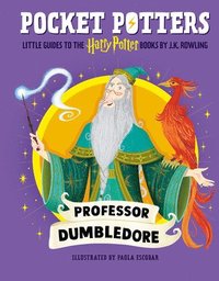 bokomslag Pocket Potters: Albus Dumbledore (Little Guides to the Harry Potter Books #4)
