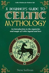 bokomslag A Beginner's Guide to Celtic Mythology