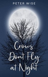 bokomslag Crows Don't Fly at Night