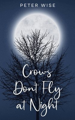 Crows Don't Fly at Night 1