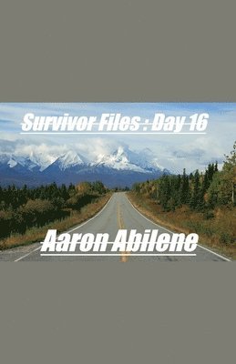 bokomslag Survivor Files