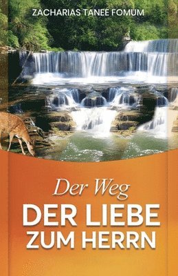 bokomslag Der Weg Der Liebe Zum Herrn