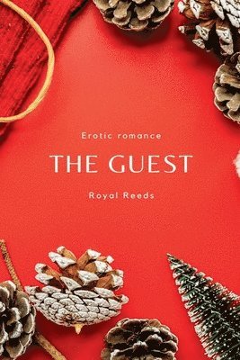 bokomslag The Guest: Erotic Romance