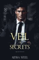 bokomslag Veil of Secrets