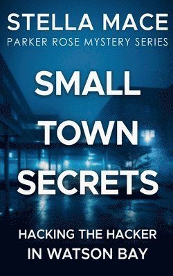 bokomslag Small Town Secrets