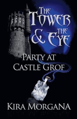 bokomslag Party at Castle Grof