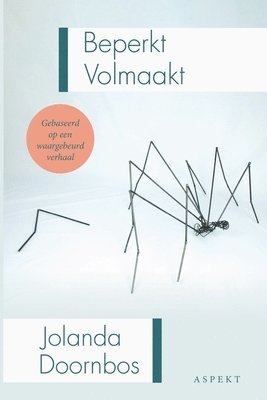 bokomslag Beperkt Volmaakt