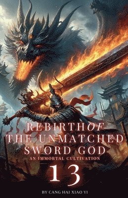 bokomslag Rebirth of the Unmatched Sword God