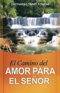 bokomslag El Camino del Amor Para el Seor