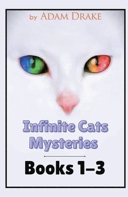 Adam Drake - Infinite Cats Mysteries, Häftad