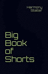 bokomslag Big Book of Shorts