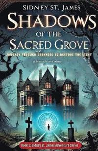 bokomslag Shadows of the Sacred Grove - Journey Through Darkness to Restore the Light