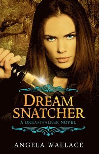 bokomslag Dreamsnatcher