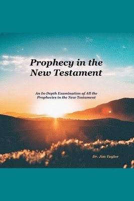 Jim Taylor - Prophecy in the New Testament, Häftad