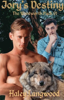 Wentworth Pack 01 Jory's Destiny