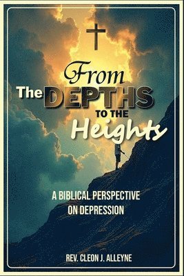 bokomslag From the Depths to the Heights A Biblical Perspective on Depression