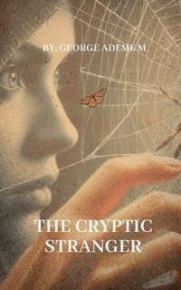bokomslag Cryptic Stranger