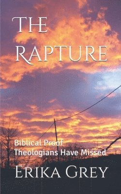 Erika Grey - Rapture, Häftad