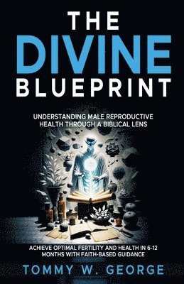 bokomslag The Divine Blueprint