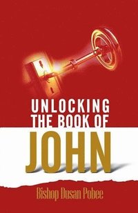 bokomslag Unlocking the Book of John