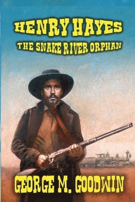 bokomslag Henry Hayes - The Snake River Orphan