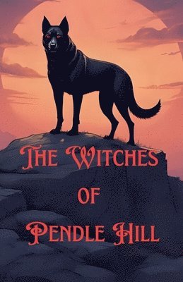 bokomslag Witches of Pendle Hill