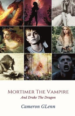 bokomslag Mortimer the Vampire