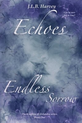 bokomslag Echoes of Endless Sorrow