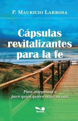 bokomslag Cpsulas revitalizantes para la fe