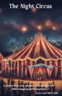 bokomslag Night Circus