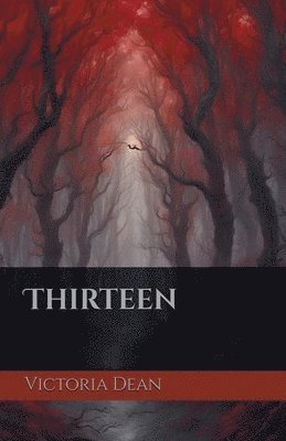 bokomslag Thirteen