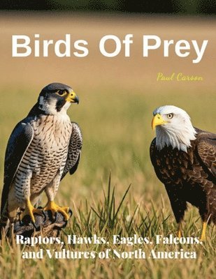 Birds Of Prey 1