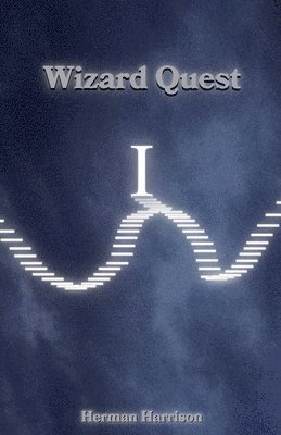 bokomslag Wizard Quest