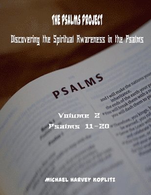 bokomslag The Psalms Project Volume Two Discovering the Spiritual World through the Psalms - Psalm 11 to 20