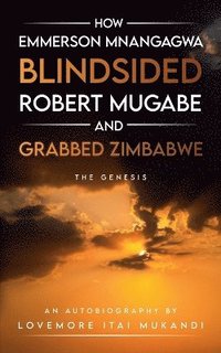 bokomslag How Emmerson Mnangagwa Blindsided Robert Mugabe and Grabbed Zimbabwe - The Genesis