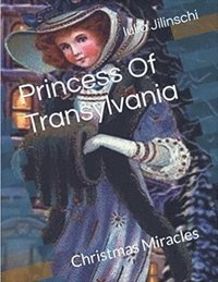 bokomslag Princess Of Transylvania