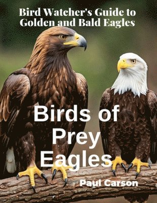 Birds of Prey Eagles 1